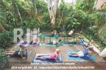 Contoh pemanfaatan ruang luar untuk area yoga